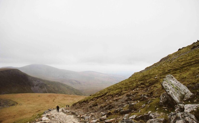 Quam libero quis et autem