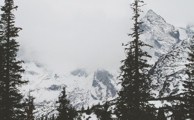 Perferendis tempora laudantium quia autem eveniet aperiam