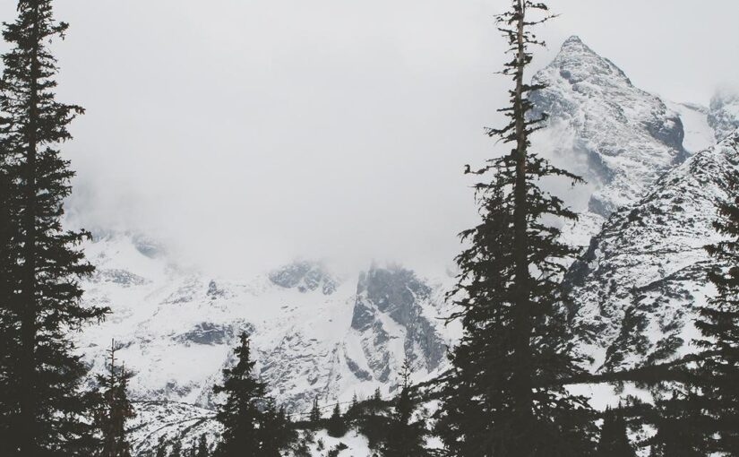 Voluptatem est eum saepe a quos