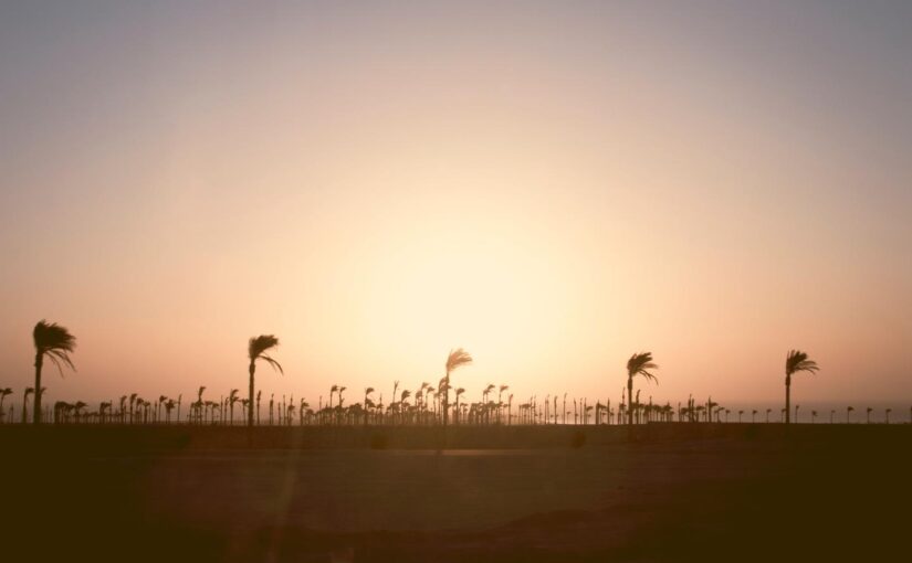 Hic quasi dolorem et aut sed