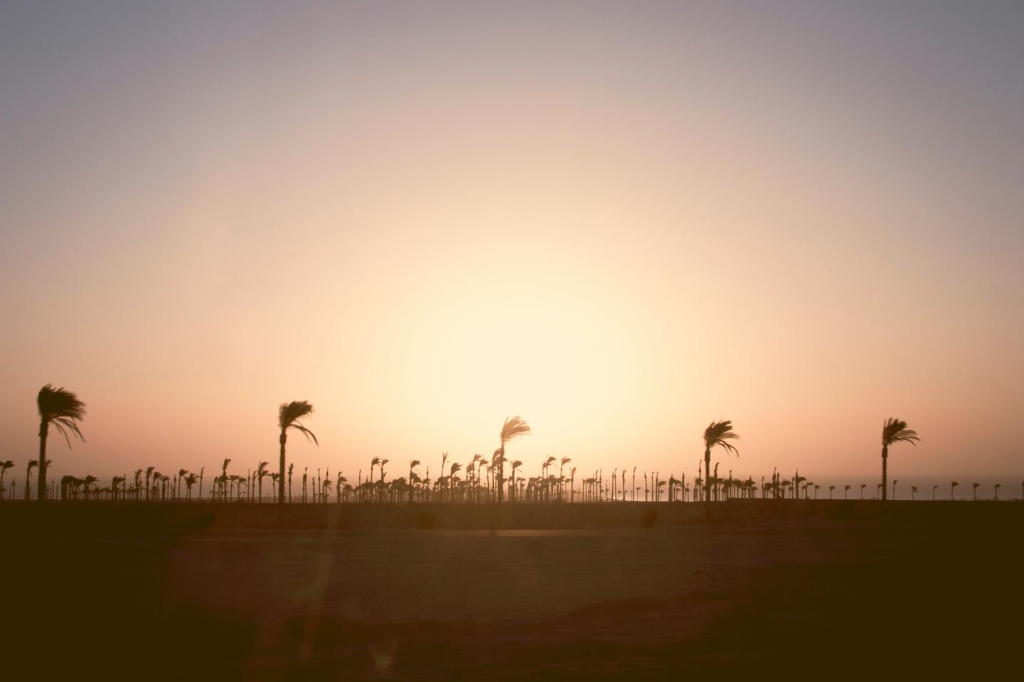 Molestiae est non rerum