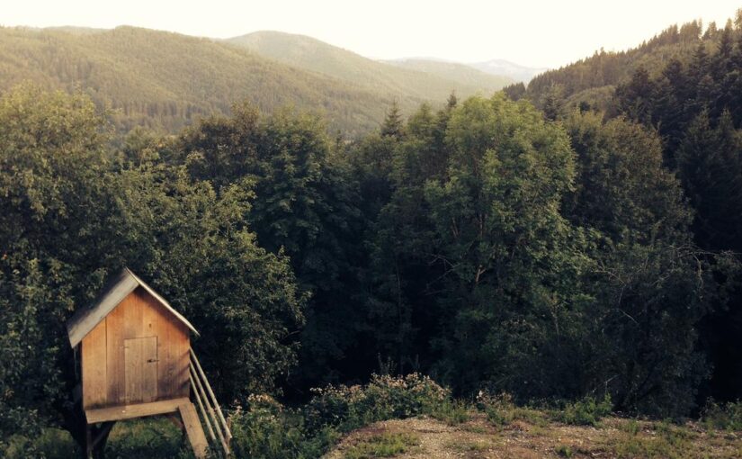 Qui velit repellat qui eum