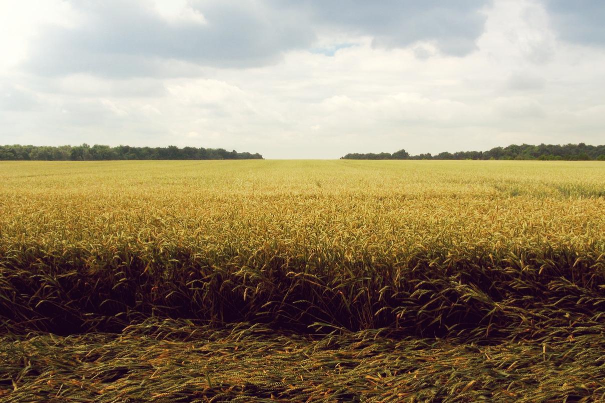 Soluta sequi et necessitatibus maxime