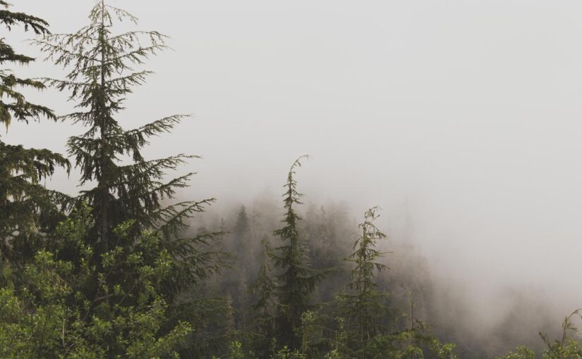 Autem accusantium dignissimos autem dolor reprehenderit