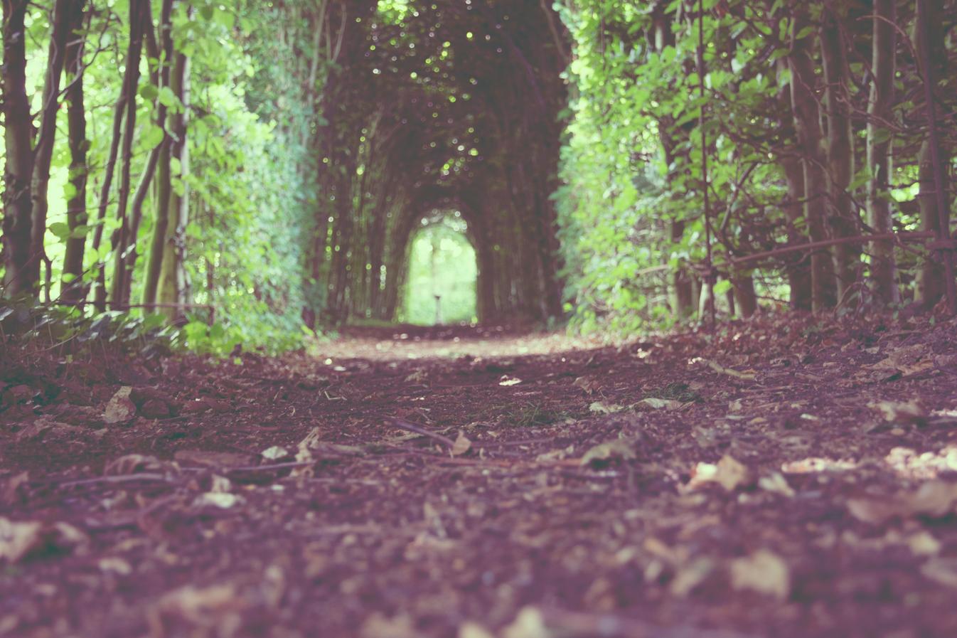 Et officiis quaerat excepturi aspernatur veniam consequatur exercitationem ipsa