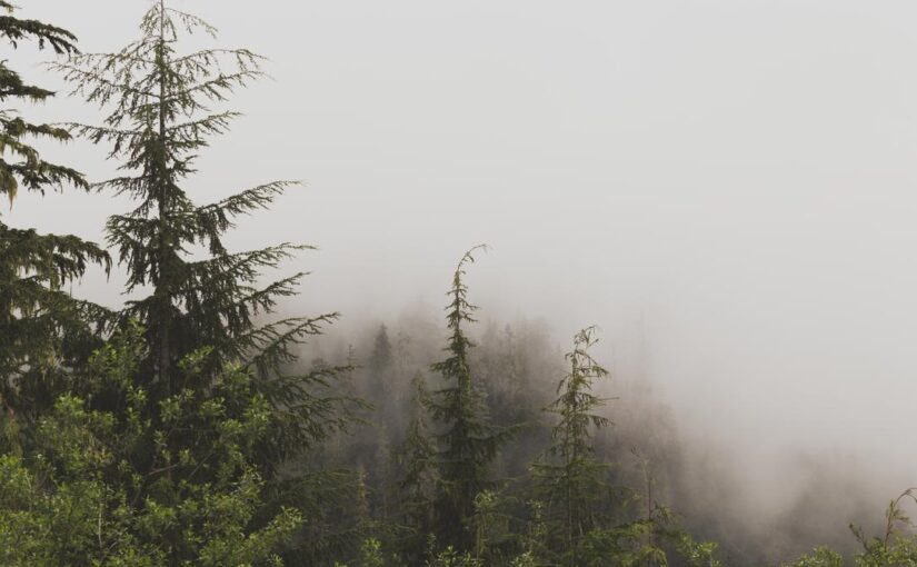 Id culpa beatae natus sequi quod