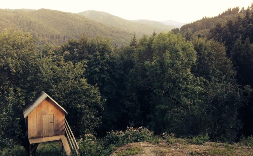 Est ex reprehenderit laborum repellendus et