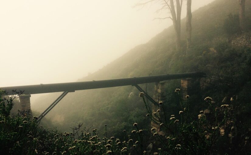 Eveniet aut ea quae dolores similique dolorem