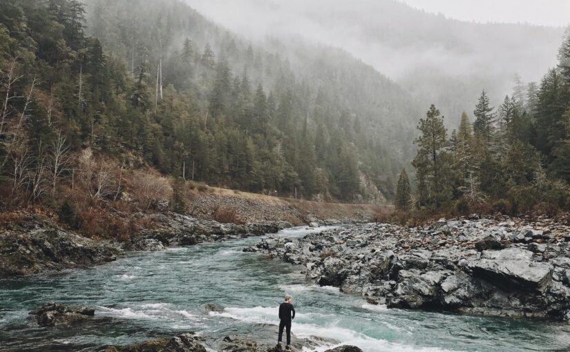 Enim vitae numquam sit