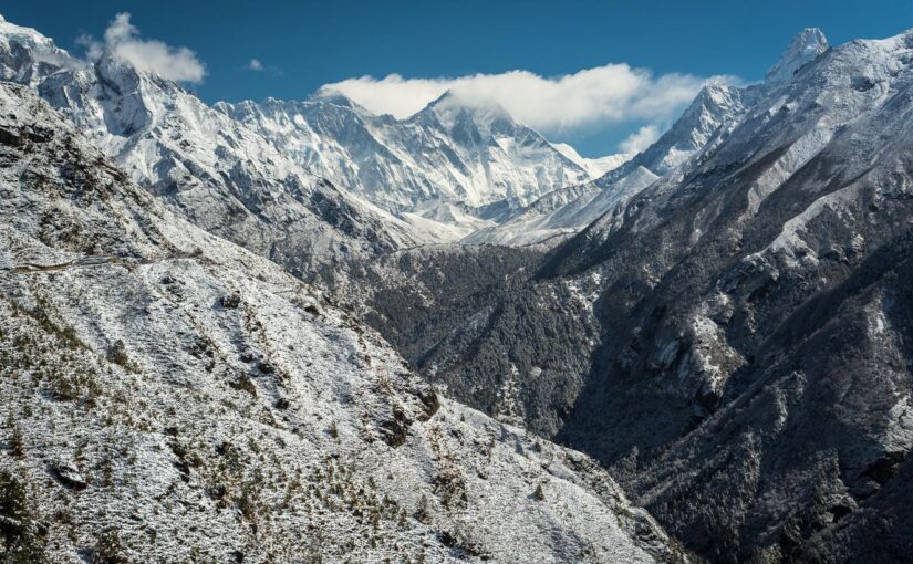 Ipsum sed perspiciatis corporis