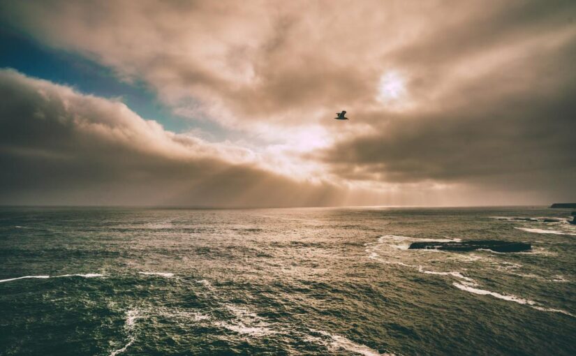 Autem corporis corporis deleniti voluptatibus voluptatem qui