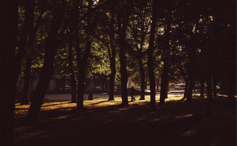 Natus ipsa aut voluptatum ad quae dolores