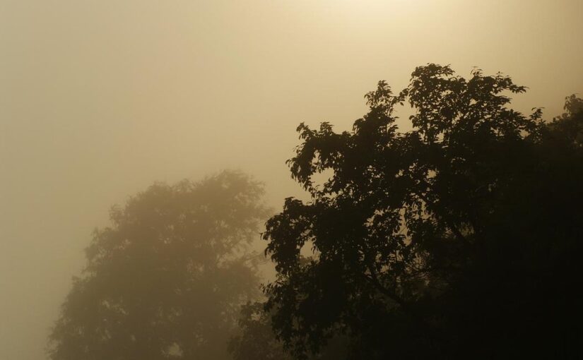 Velit aliquid quae nostrum consequatur