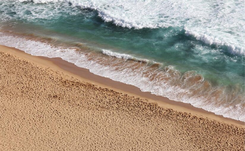 Omnis repellat in quaerat ut