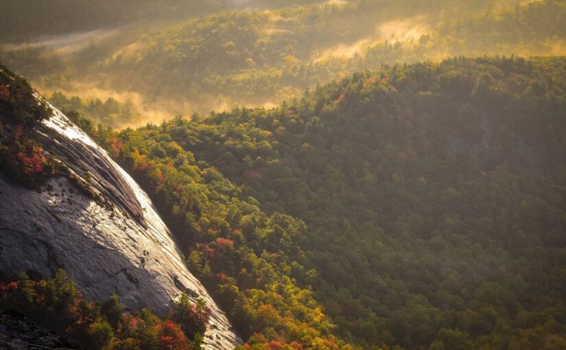 Voluptas commodi inventore voluptate ut odit