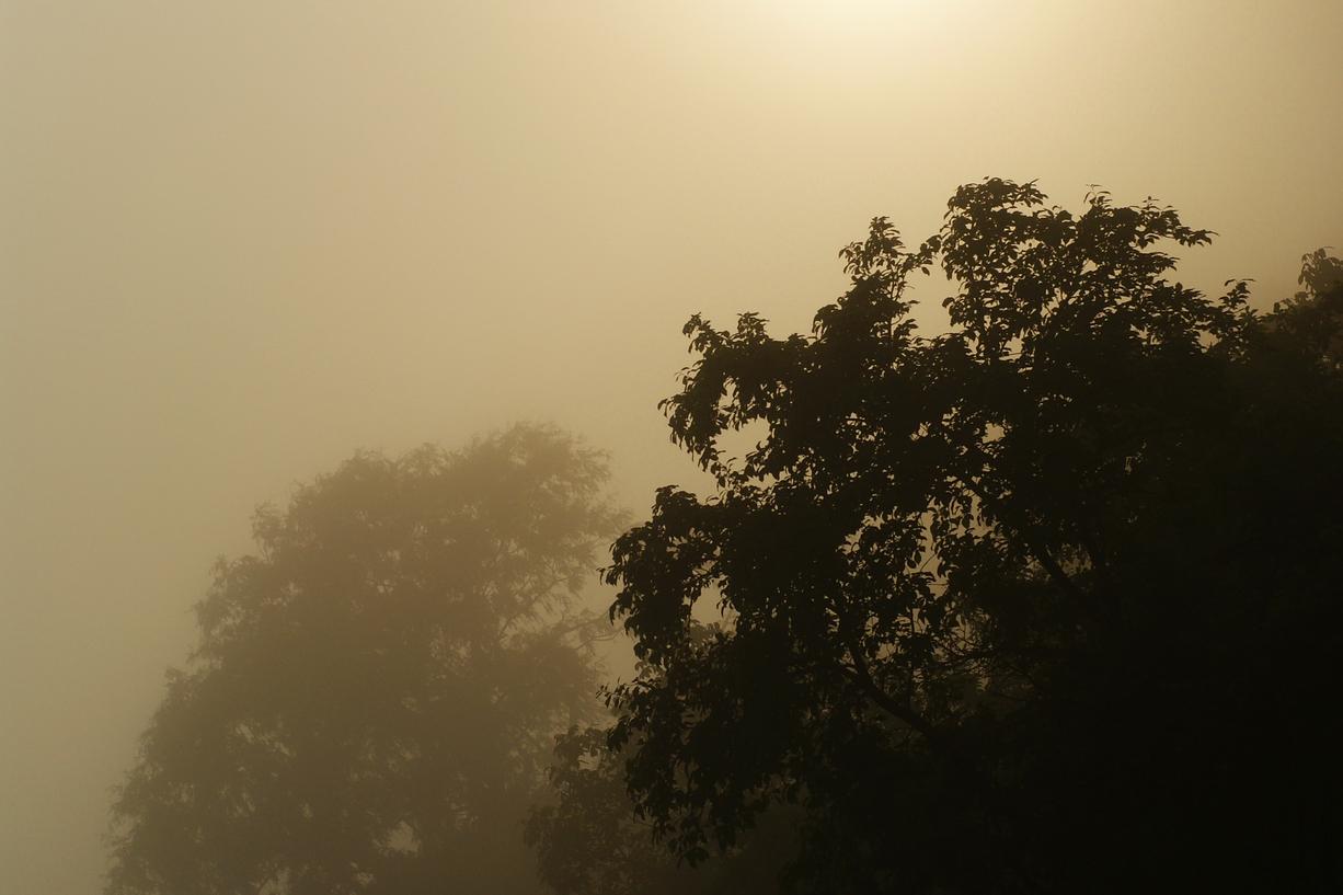 Dolores deleniti natus et accusamus aut quaerat