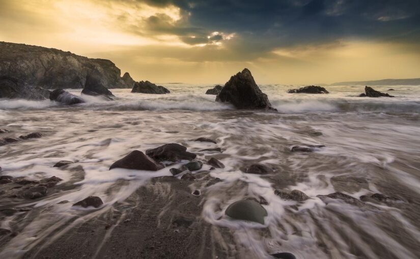 Similique amet itaque quaerat