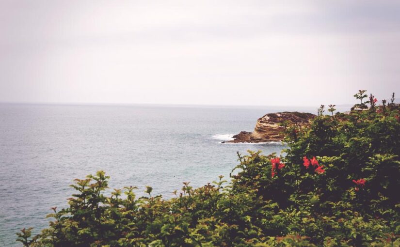 Illum incidunt cumque omnis