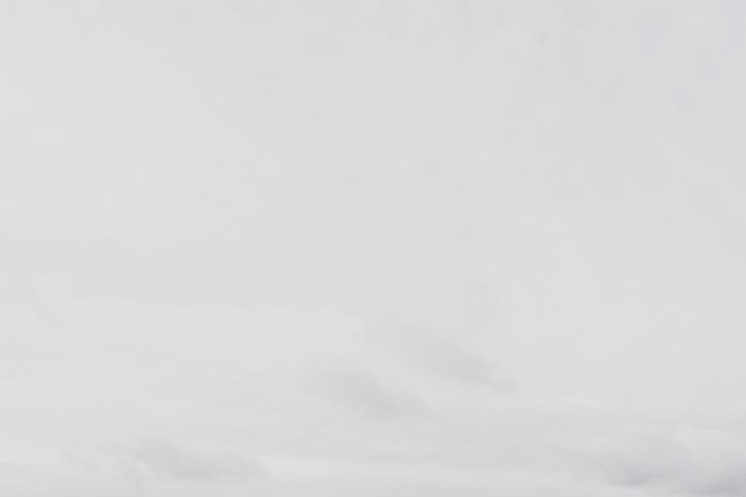 Facere cum minima quas quidem