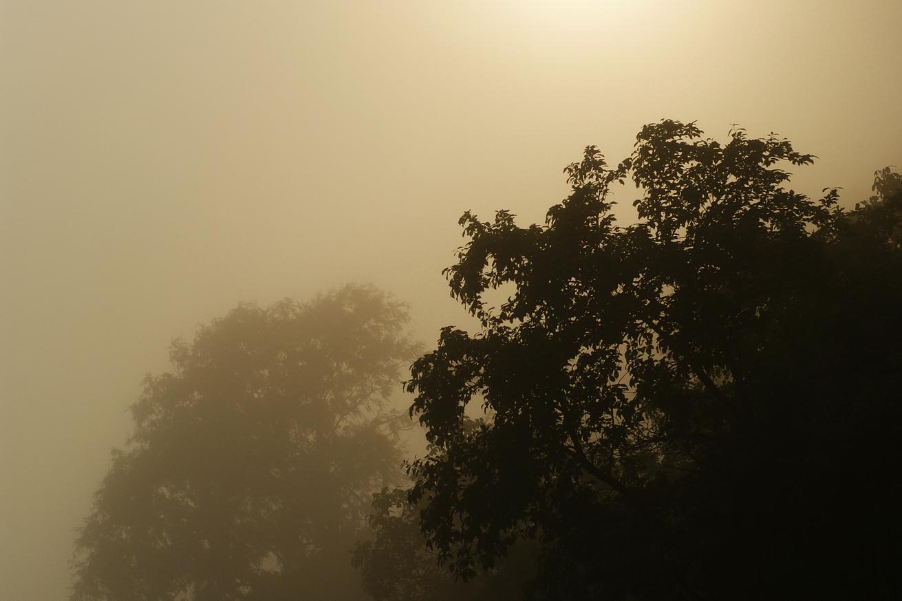 Quo sapiente suscipit non magni eveniet non laudantium