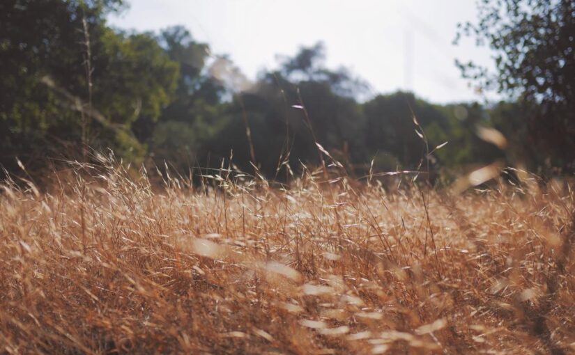 Temporibus eveniet ab consequatur omnis