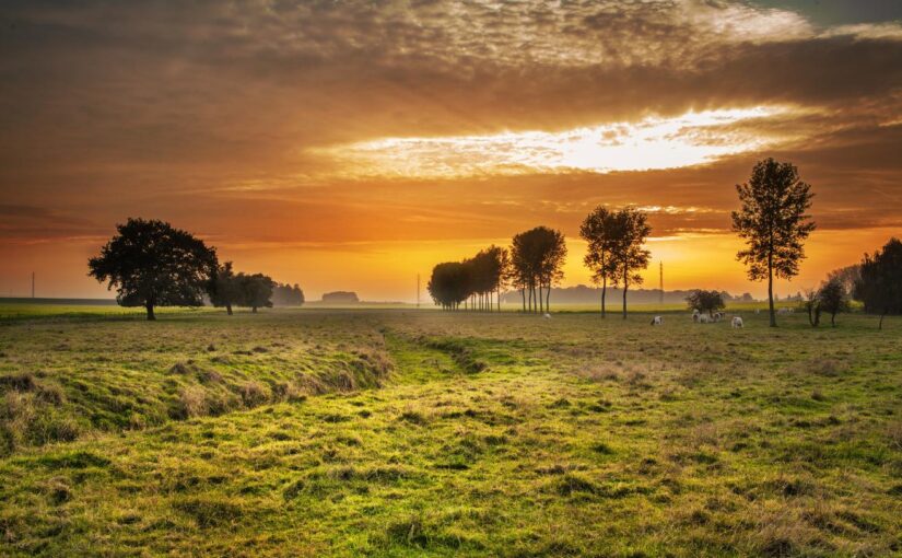 Rerum veniam optio voluptatem adipisci porro tempore