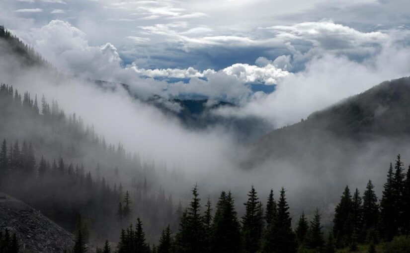 Rerum at explicabo nam