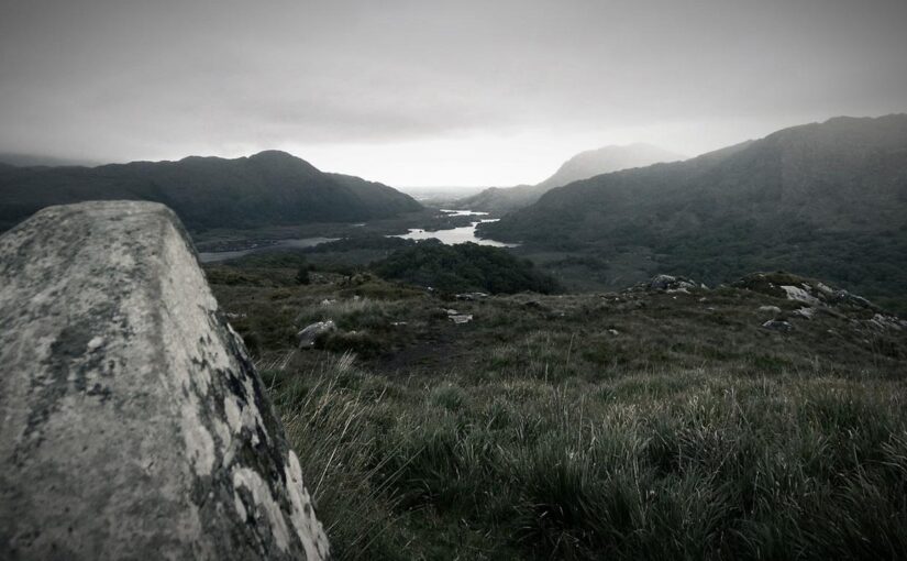 Est velit et est provident