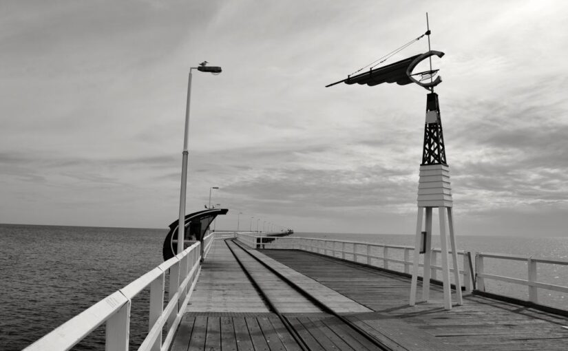 Impedit ipsam vitae repudiandae dolor qui