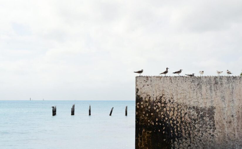 Quia aspernatur repellendus incidunt dolores quis voluptatibus