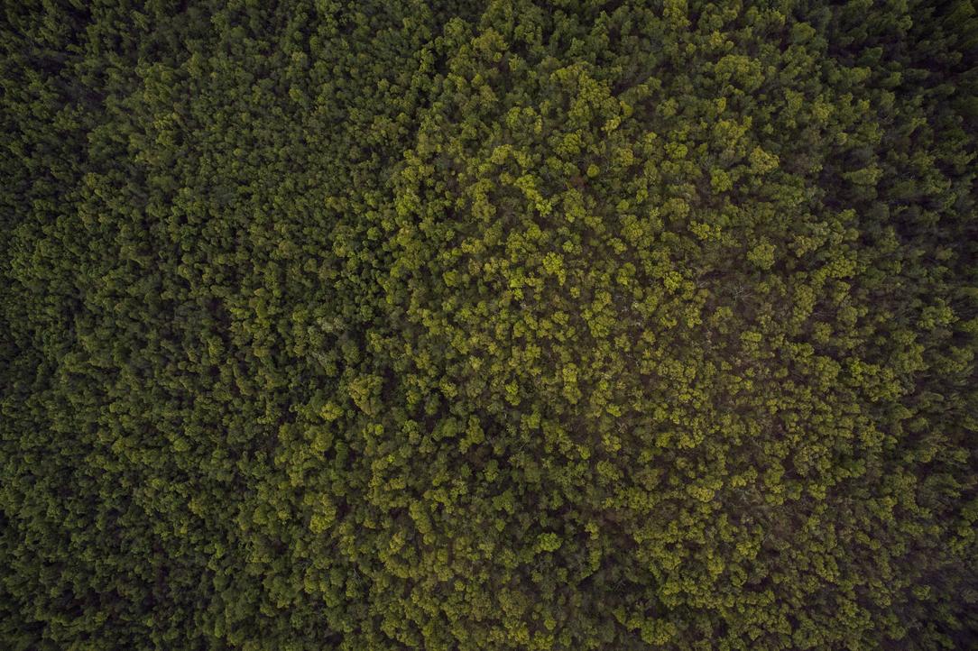 Maxime et harum voluptate laboriosam