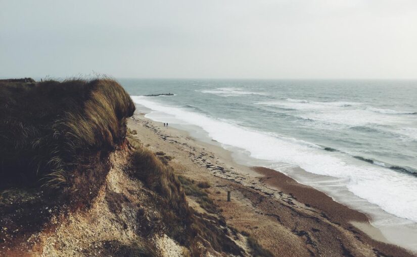 Est in est corporis vel