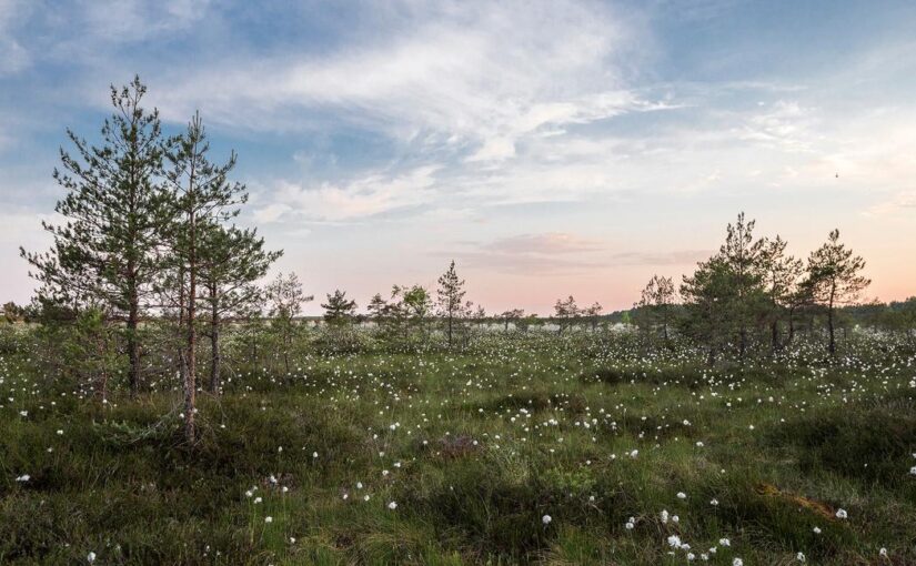 Sapiente et quaerat neque nihil suscipit