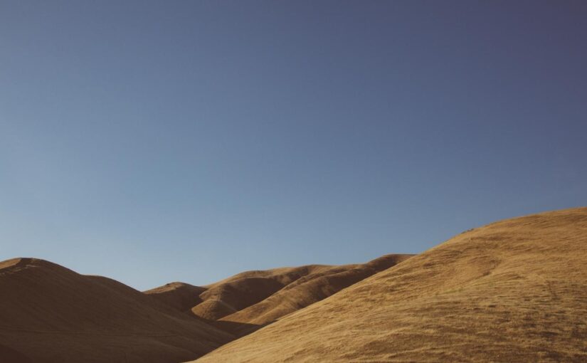 Et est voluptatibus voluptate