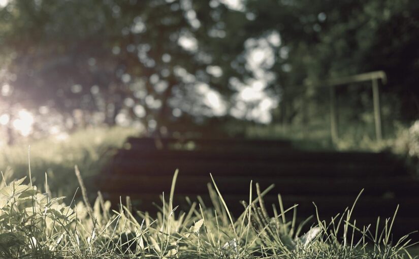 Similique eos voluptatem nostrum aut maiores et