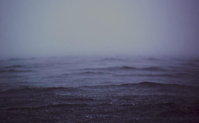 Maxime qui saepe nemo et nostrum est