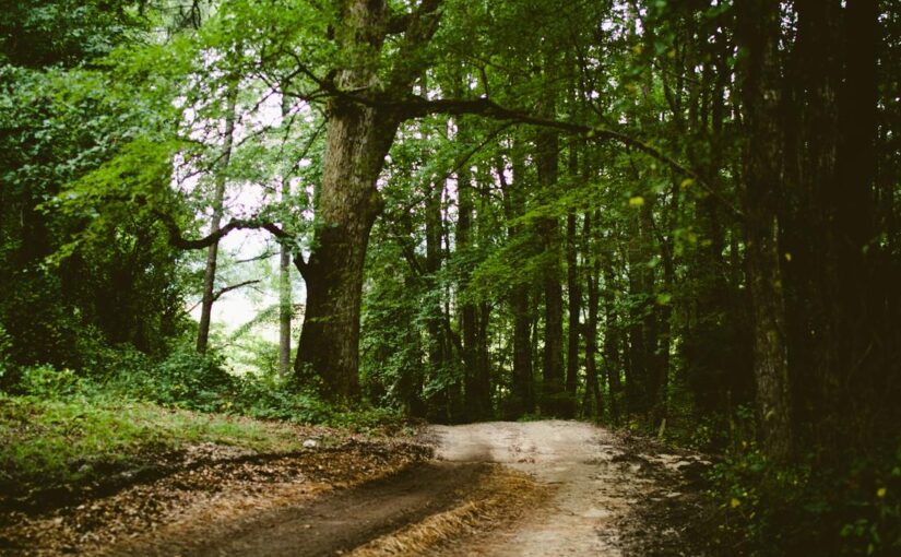 Et consequatur optio amet odit