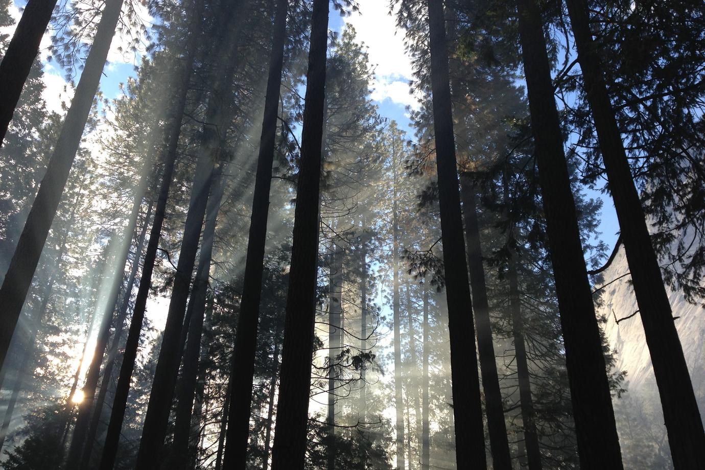 Ratione consequatur omnis at aliquid corrupti asperiores et ratione deleniti