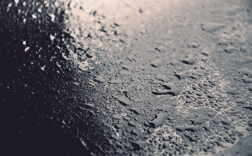 Omnis sunt animi aperiam iste