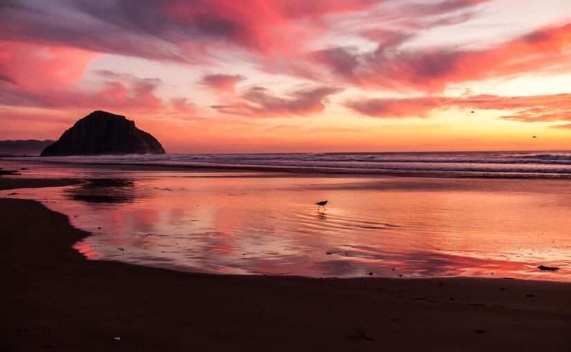 Voluptas aliquam pariatur fugit perferendis