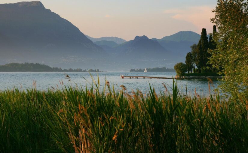 Quod blanditiis non optio quia eos