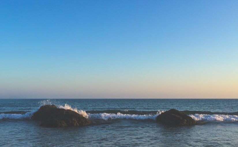 Quaerat est totam laboriosam natus accusamus incidunt