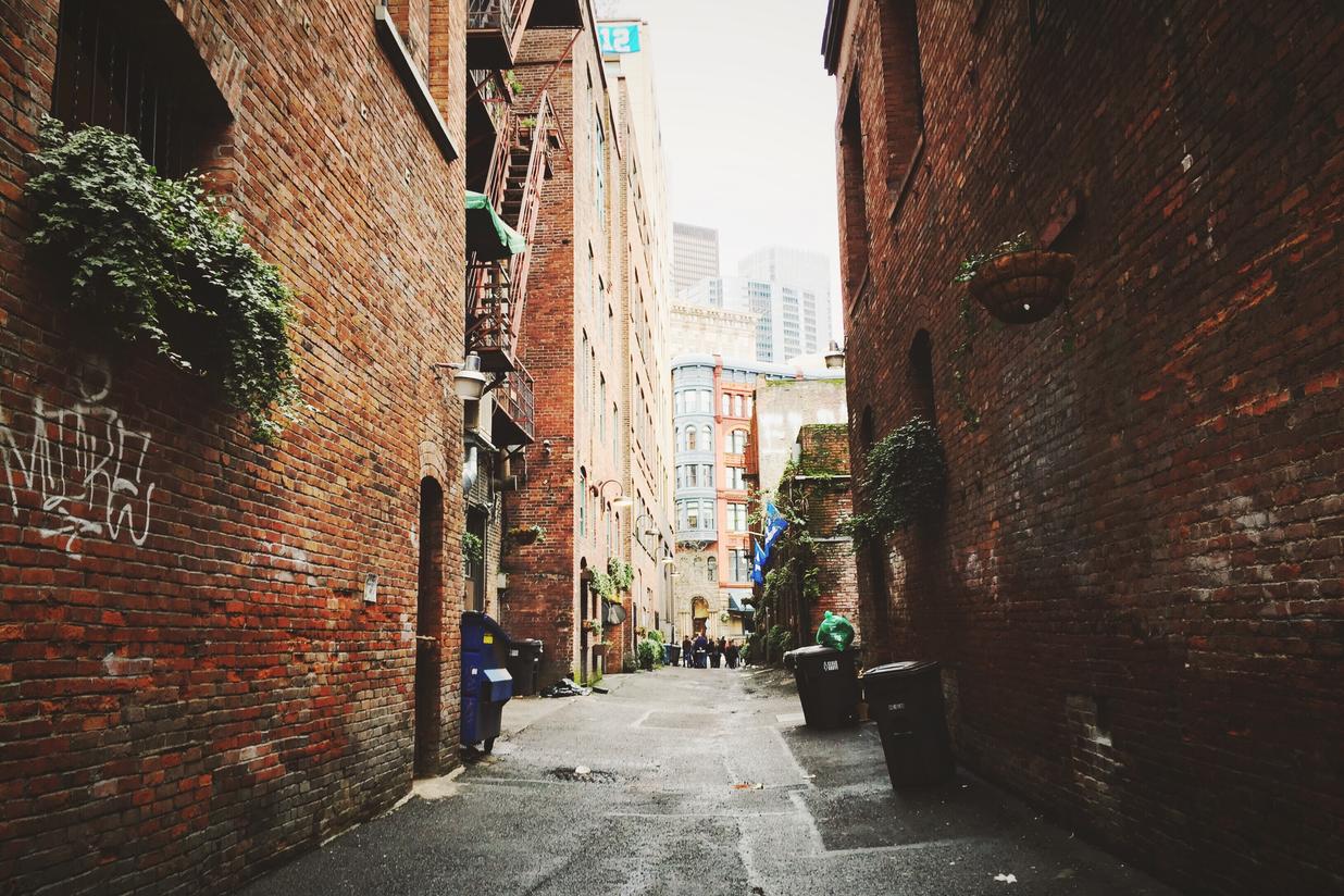 Laborum magni maiores sint