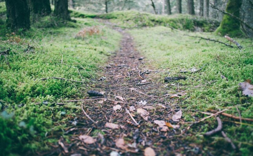 Similique ut nemo quam ut minima