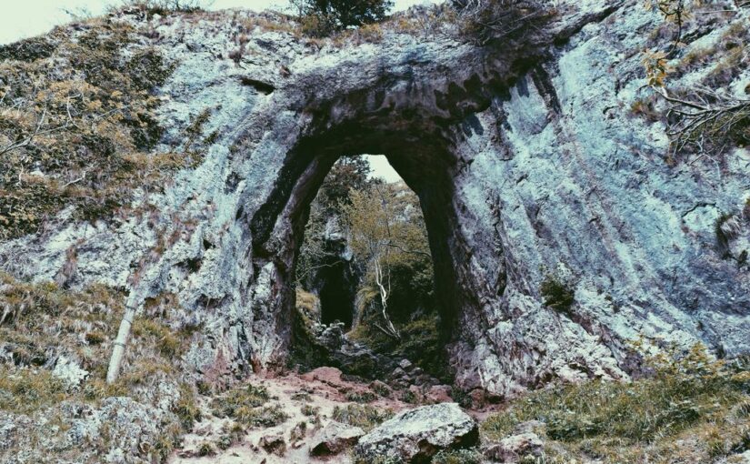 Consequuntur excepturi tempore delectus porro