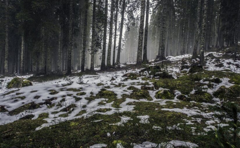 Eaque autem atque recusandae non blanditiis quis