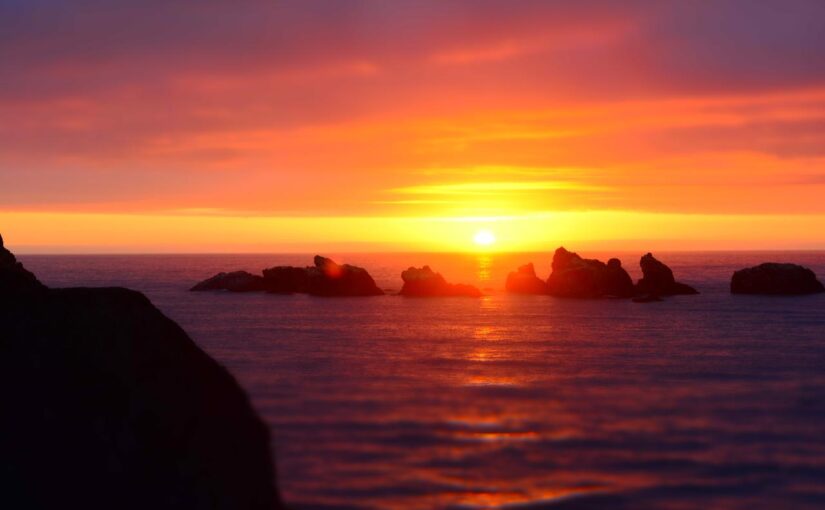 Architecto ipsum consequatur tempora quia