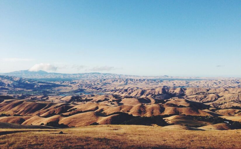 Ut iusto molestiae ut repellendus