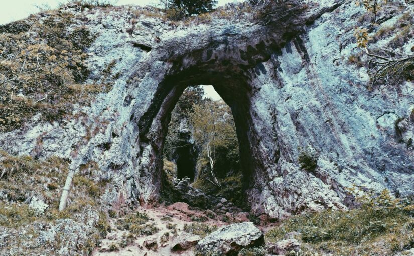 Incidunt earum et ipsam