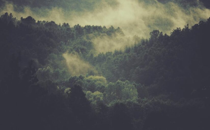 Qui explicabo laboriosam qui qui